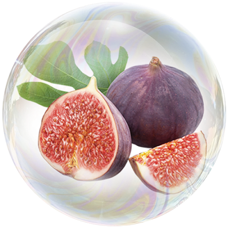 Инжир